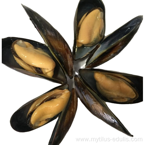 frozen cooked full shell mussels